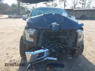 2017 Ford F-150 XL with VIN 1FTEW1EF3HFA84749, listed as a IAAI auction lot 41476220 with 174,958 mi miles. Bid and sale history available at carsss.com. Image 6.
