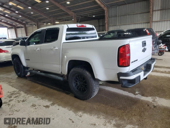 2019 Chevrolet Colorado 2WD LT with VIN 1GCGSCEN3K1169649, listed as a Copart auction lot 64862795 with 64,018 mi miles and Salvage title. Bid and sale history available at DreamBid. Image 2.