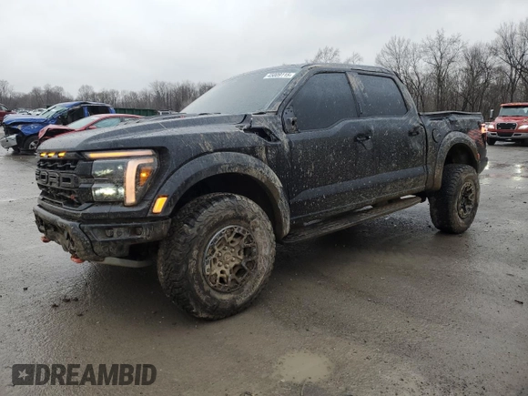 2024 Ford F-150 Raptor with VIN 1FTFW1RJ3RFB30519, listed as a Copart auction lot 45009115 with 15,151 mi miles and Salvage Title. Bid and sale history available at DreamBid. Image 1.