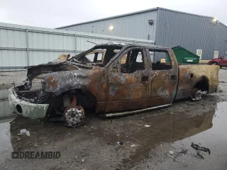 2006 Ford F-150 XL with VIN 1FTPW14V96FB33385, listed as a Copart auction lot 80240884 with 0 mi miles and Non Repairable. Bid and sale history available at carsss.com. Image 1.