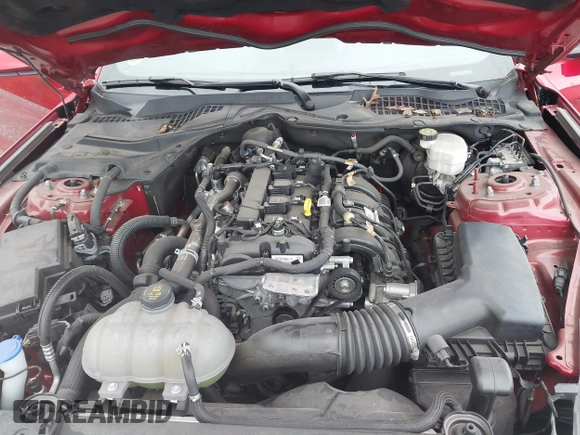 2022 Ford Mustang EcoBoost с VIN 1FA6P8TH0N5114862, выставлен на аукционе IAAI как лот 42266233 с пробегом 20 091 миль миль и . История ставок и продаж доступна на DreamBid. Изображение 10.