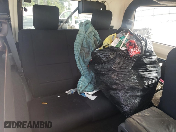 2009 Jeep Wrangler Sahara with VIN 1J4FA54199L747528, listed as a Copart auction lot 80974584 with 226,299 mi miles and Salvage title. Bid and sale history available at DreamBid. Image 10.