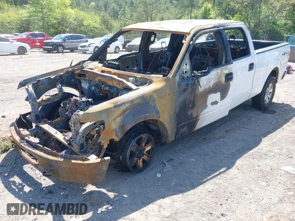 2010 Ford F-150 XL z VIN 1FTFW1E87AFB13410, wystawiony jako IAAI lot #42021804 z przebiegiem Nie podano mil oraz . Historia ofert i sprzedaży dostępna na DreamBid. Obrazek 2.