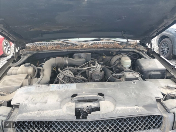 2005 Chevrolet Silverado 1500 Work Truck with VIN 1GCEC19X45Z315745, listed as a Copart auction lot 56436765 with 167,926 mi miles and Salvage Title. Bid and sale history available at DreamBid. Image 11.
