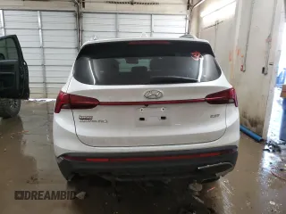 2022 Hyundai Santa Fe Limited with VIN 5NMS44AL0NH477029, listed as a Copart auction lot 88250595 with 79,712 mi miles and Salvage Title. Bid and sale history available at carsss.com. Image 6.