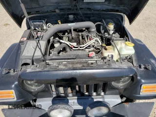 2004 Jeep Wrangler Sahara with VIN 1J4FA59SX4P718591, listed as a Copart auction lot 59907805 with 241,994 mi miles and Clean title. Bid and sale history available at DreamBid. Image 11.
