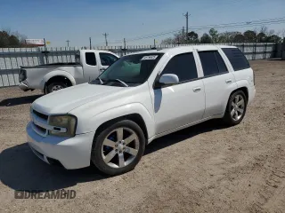 2006 Chevrolet TrailBlazer LT with VIN 1GNES13H162311299, listed as a Copart auction lot 48756625 with 94,240 mi miles and Salvage Title. Bid and sale history available at carsss.com. Image 1.