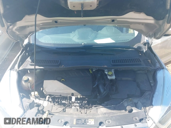 2017 Ford Escape SE with VIN 1FMCU0GD3HUC94245, listed as a IAAI auction lot 41877799 with 214,571 mi miles. Bid and sale history available at carsss.com. Image 10.