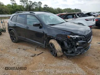 2019 Jeep Cherokee Altitude with VIN 1C4PJMLX9KD451502, listed as a Copart auction lot 50975105 with 117,125 mi miles and Salvage Title. Bid and sale history available at DreamBid. Image 4.