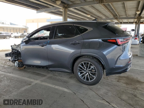 2025 Lexus NX 250 with VIN JTJADCAZ0S5024650, listed as a Copart auction lot 53031545 with 4,736 mi miles and Salvage title. Bid and sale history available at DreamBid. Image 2.