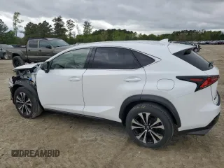 2020 Lexus NX 300 F Sport with VIN JTJSARDZ2L5017275, listed as a Copart auction lot 52340195 with 49,882 mi miles and Salvage title. Bid and sale history available at DreamBid. Image 2.
