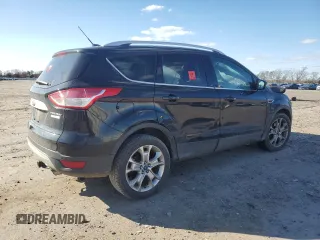 2014 Ford Escape Titanium with VIN 1FMCU0JX0EUD43299, listed as a Copart auction lot 49587535 with 0 mi miles and Salvage Title. Bid and sale history available at carsss.com. Image 3.