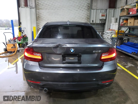 2015 BMW 2 Series 228i with VIN WBA1F5C57FV256684, listed as a Copart auction lot 51747435 with 136,140 mi miles and Clean Title. Bid and sale history available at carsss.com. Image 6.