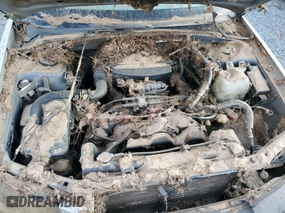 2003 Subaru Forester X with VIN JF1SG63653H718081, listed as a Copart auction lot 76285394 with 0 mi miles and Salvage Title. Bid and sale history available at carsss.com. Image 11.