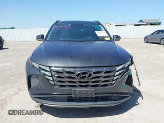 2023 Hyundai Tucson Limited with VIN 5NMJE3AE7PH202376, listed as a IAAI auction lot 42302364 with 55,696 mi miles and . Bid and sale history available at DreamBid. Image 12.