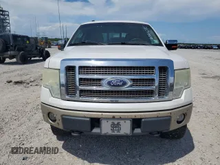 2010 Ford F-150 XL with VIN 1FTFW1EV5AKB58746, listed as a Copart auction lot 60144085 with Not provided miles and Salvage title. Bid and sale history available at DreamBid. Image 5.