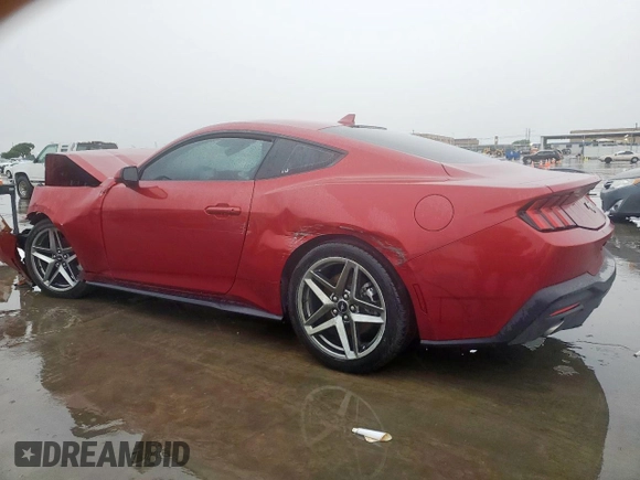 2024 Ford Mustang EcoBoost with VIN 1FA6P8TH4R5127121, listed as a Copart auction lot 54577355 with 0 mi miles and Clean Title. Bid and sale history available at carsss.com. Image 2.