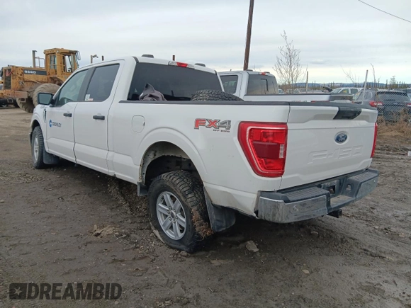 2021 Ford F-150 XL with VIN 1FTFW1E56MFA74352, listed as a Copart auction lot 53720815 with 0 mi miles and Clean Title. Bid and sale history available at carsss.com. Image 2.