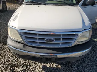 1999 Ford F-150 z VIN 1FTRF18W1XKA87801, wystawiony jako Copart lot #79094454 z przebiegiem Nie podano mil oraz Szkoda całkowita • Salvage title. Historia ofert i sprzedaży dostępna na DreamBid. Obrazek 11.
