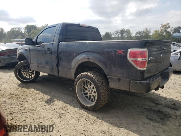 2013 Ford F-150 XL with VIN 1FTMF1EFXDFB80061, listed as a Copart auction lot 72508294 with 68,258 mi miles and Salvage Title. Bid and sale history available at DreamBid. Image 2.