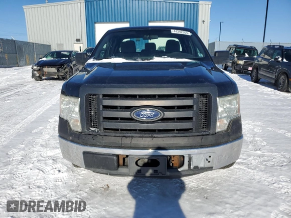 2011 Ford F-150 XL with VIN 1FTEX1CM7BFB26782, listed as a Copart auction lot 44242505 with 215,226 mi miles and Clean Title. Bid and sale history available at carsss.com. Image 5.