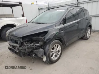 2017 Ford Escape SE with VIN 1FMCU0GD7HUE72044, listed as a Copart auction lot 48565255 with 125,052 mi miles and Salvage Title. Bid and sale history available at DreamBid. Image 1.