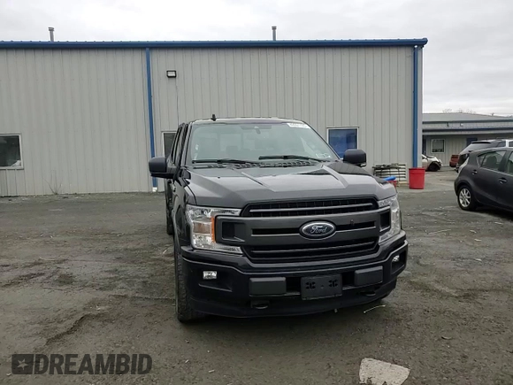 2020 Ford F-150 XL with VIN 1FTFX1E44LFC62080, listed as a Copart auction lot 48001125 with 119,251 mi miles and Salvage Title. Bid and sale history available at carsss.com. Image 11.