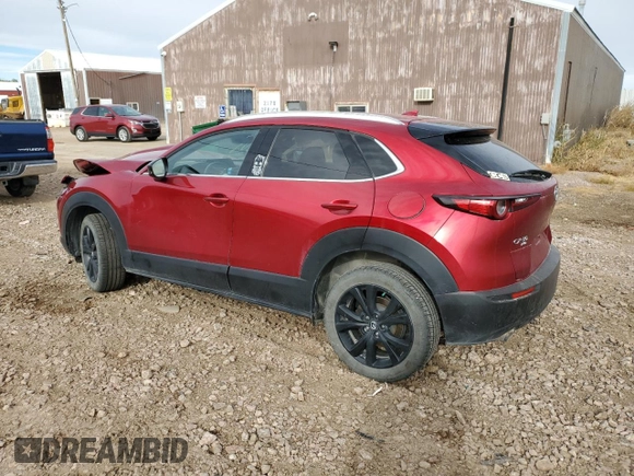 2021 Mazda CX-30 Premium with VIN 3MVDMBDY8MM248161, listed as a Copart auction lot 79176964 with 58,106 mi miles and Salvage Title. Bid and sale history available at carsss.com. Image 2.