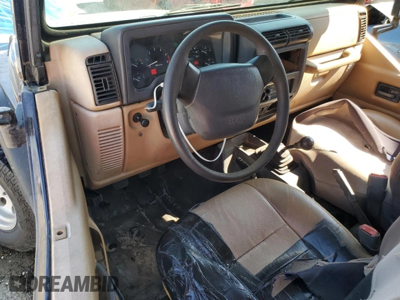 1998 Jeep Wrangler SE with VIN 1J4FY29P0WP784334, listed as a Copart auction lot 52384075 with 0 mi miles and Salvage Title. Bid and sale history available at carsss.com. Image 8.