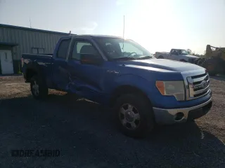 2010 Ford F-150 XL with VIN 1FTEX1E86AKB83433, listed as a Copart auction lot 64221855 with 294,443 mi miles and Salvage title. Bid and sale history available at DreamBid. Image 4.