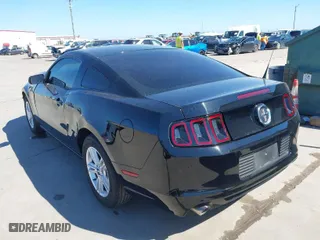 2013 Ford Mustang V6 with VIN 1ZVBP8AM8D5259572, listed as a IAAI auction lot 41655526 with 42,753 mi miles. Bid and sale history available at carsss.com. Image 3.