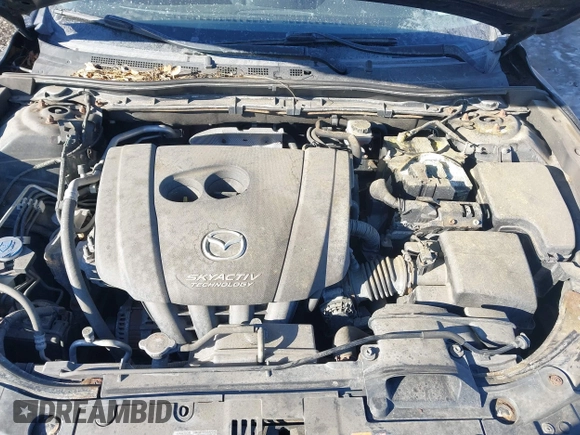 2016 Mazda 3 i Sport with VIN JM1BM1U79G1314101, listed as a IAAI auction lot 41394947 with 92,508 mi miles and . Bid and sale history available at DreamBid. Image 10.