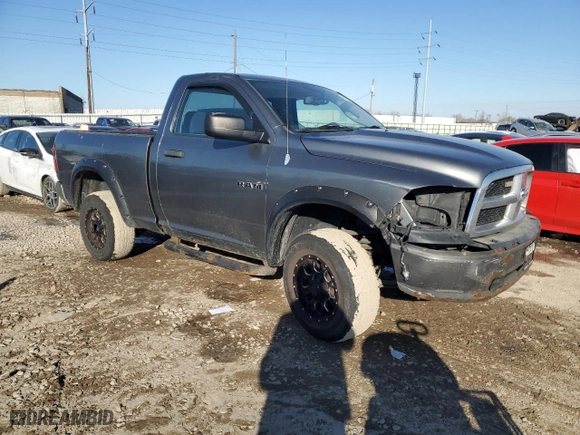 2010 Dodge Ram 1500 ST with VIN 3D7JV1EP9AG161788, listed as a Copart auction lot 42603245 with 191,988 mi miles and Salvage Title. Bid and sale history available at carsss.com. Image 4.