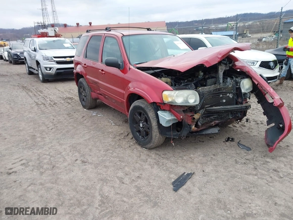 2006 Ford Escape Limited with VIN 1FMYU94116KD17566, listed as a IAAI auction lot 41538273 with 143,237 mi miles. Bid and sale history available at carsss.com. Image 1.