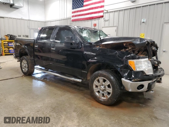 2009 Ford F-150 XL with VIN 1FTPW14VX9FA57292, listed as a Copart auction lot 57179865 with 173,771 mi miles and Clean title. Bid and sale history available at DreamBid. Image 4.