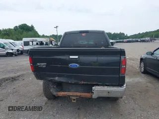 2010 Ford F-150 XL with VIN 1FTEX1E81AFA48403, listed as a IAAI auction lot 42499944 with 215,900 mi miles and . Bid and sale history available at DreamBid. Image 17.