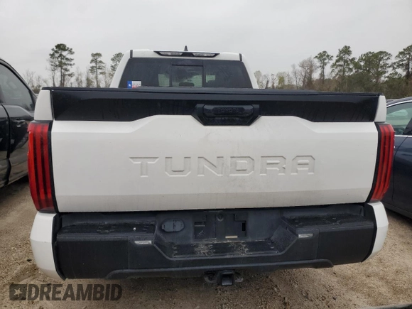2023 Toyota Tundra SR with VIN 5TFKB5AA1PX021917, listed as a Copart auction lot 81721194 with 58,163 mi miles and Salvage title. Bid and sale history available at DreamBid. Image 6.