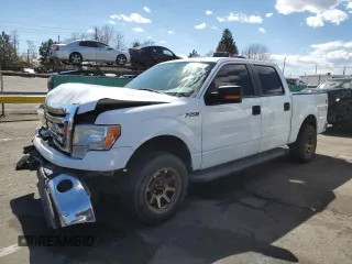 2011 Ford F-150 XL with VIN 1FTEW1CM8BKD60679, listed as a Copart auction lot 50655865 with Not provided miles and Salvage title. Bid and sale history available at DreamBid. Image 1.