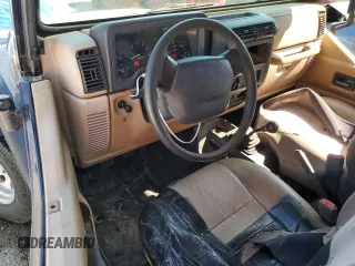 1998 Jeep Wrangler SE with VIN 1J4FY29P0WP784334, listed as a Copart auction lot 52384075 with 0 mi miles and Salvage Title. Bid and sale history available at carsss.com. Image 8.