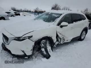 2017 Mazda CX-9 Sport with VIN JM3TCABY9H0142119, listed as a Copart auction lot 45305795 with 103,495 mi miles and Clean Title. Bid and sale history available at carsss.com. Image 1.