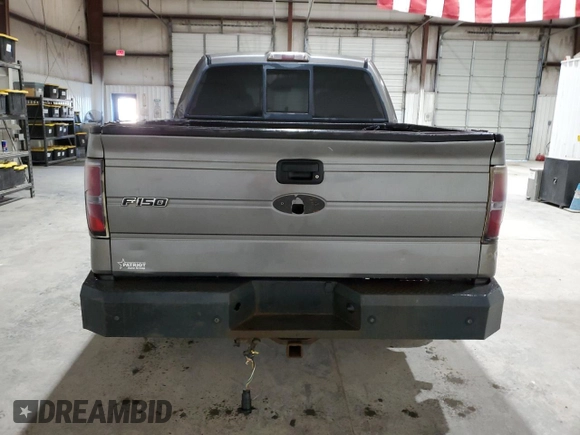 2010 Ford F-150 XL with VIN 1FTFW1EV5AFA74662, listed as a Copart auction lot 48384295 with 234,570 mi miles and Clean Title. Bid and sale history available at carsss.com. Image 6.