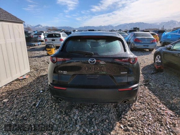 2020 Mazda CX-30 with VIN 3MVDMBBLXLM117867, listed as a Copart auction lot 46646295 with 31,383 mi miles and Salvage Title. Bid and sale history available at DreamBid. Image 6.