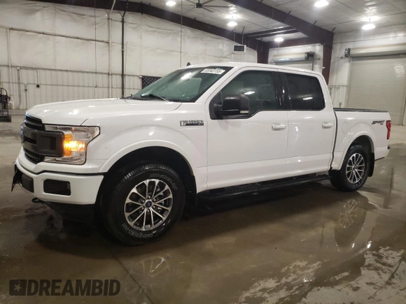 2020 Ford F-150 XL with VIN 1FTEW1EP7LKD90569, listed as a Copart auction lot 53040155 with 49,708 mi miles and Salvage Title. Bid and sale history available at DreamBid. Image 1.
