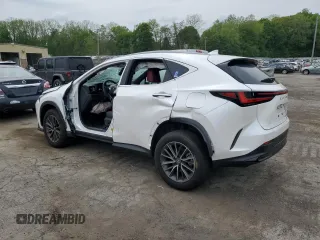 2025 Lexus NX 350 with VIN 2T2AGCEZ5SC065634, listed as a Copart auction lot 56819705 with 7,403 mi miles and Salvage title. Bid and sale history available at DreamBid. Image 2.