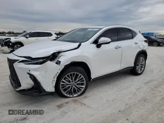 2022 Lexus NX with VIN 2T2GKCEZXNC008682, listed as a Copart auction lot 77434873 with Not Provided miles. Bid and sale history available at carsss.com. Image 1.