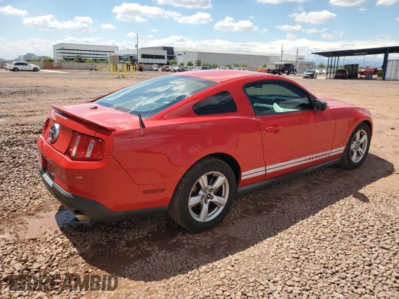 2010 Ford Mustang V6 with VIN 1ZVBP8AN6A5128015, listed as a Copart auction lot 59201315 with 143,591 mi miles and Salvage title. Bid and sale history available at DreamBid. Image 3.