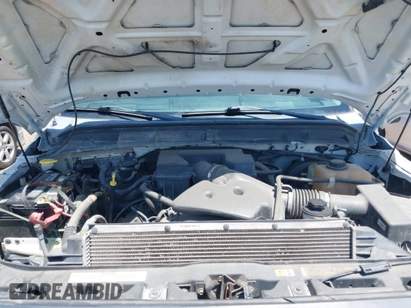 2013 Ford F-250 XL with VIN 1FTBF2A61DEB18380, listed as a IAAI auction lot 42167046 with 304,250 mi miles and . Bid and sale history available at DreamBid. Image 10.