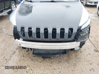 2017 Jeep Cherokee Latitude with VIN 1C4PJLCB5HW514171, listed as a IAAI auction lot 41572117 with 110,632 mi miles and . Bid and sale history available at DreamBid. Image 6.