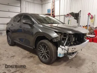 2024 Lexus NX with VIN 2T2AGCEZ2RC057176, listed as a IAAI auction lot 41376211 with 5,136 mi miles. Bid and sale history available at carsss.com. Image 1.