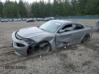 2018 Dodge Charger SXT Plus with VIN 2C3CDXHG4JH150223, listed as a Copart auction lot 51030215 with 89,165 mi miles and Salvage Title. Bid and sale history available at carsss.com. Image 1.